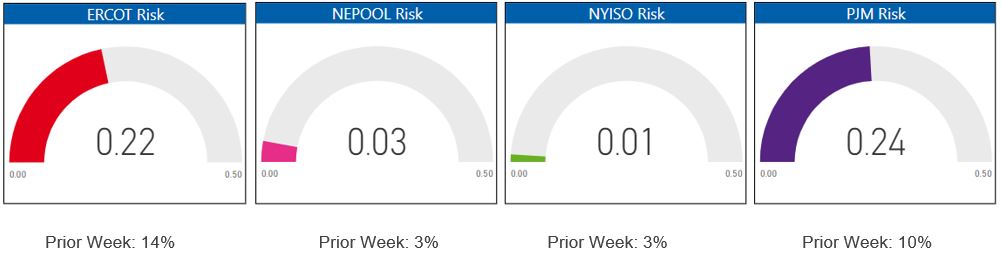 Risk Appetite Report