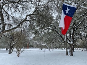 Texas Flag in Winter Setting