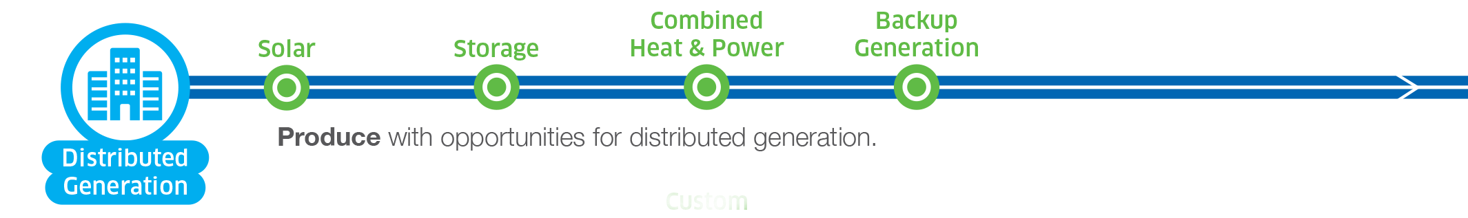 Distributed Generation