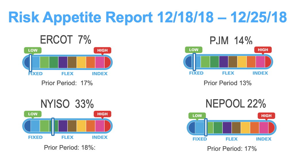 Risk Appetite Report