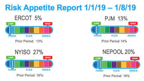 Risk Appetite Report