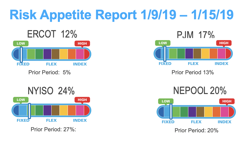 Risk Appetite Report