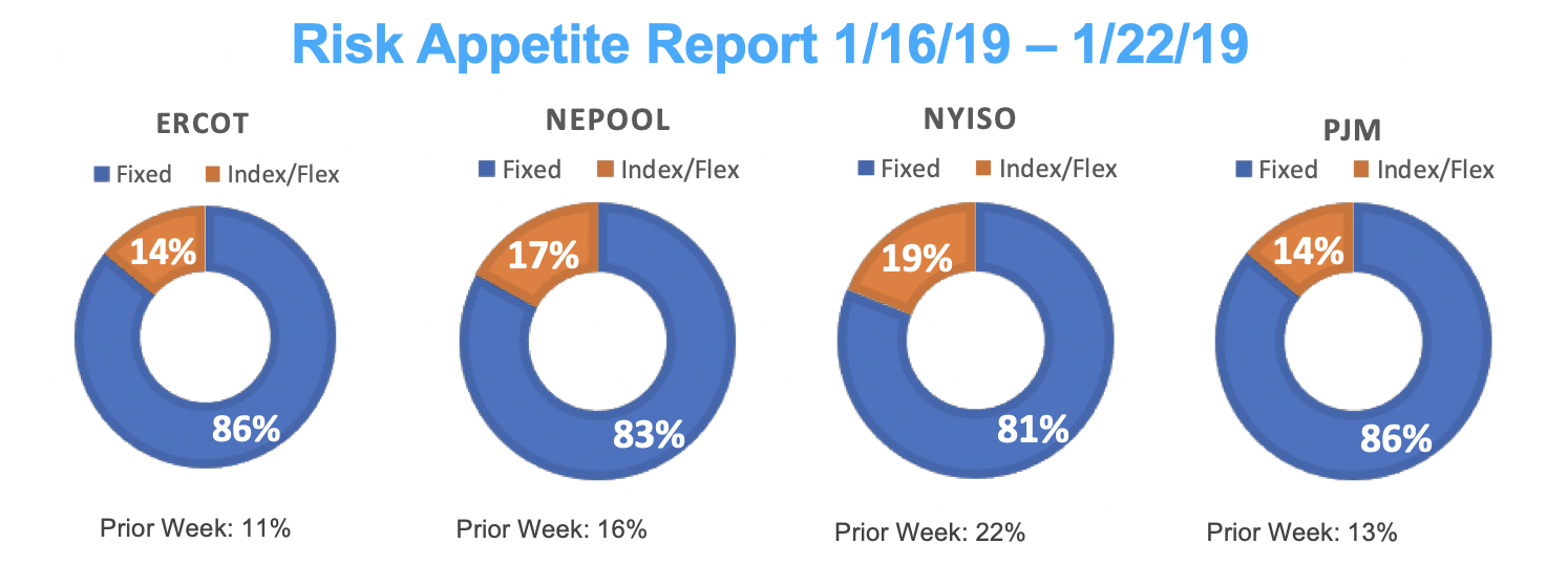 Risk Appetite Report