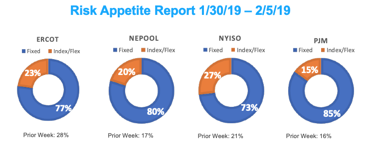 Risk Appetite Report