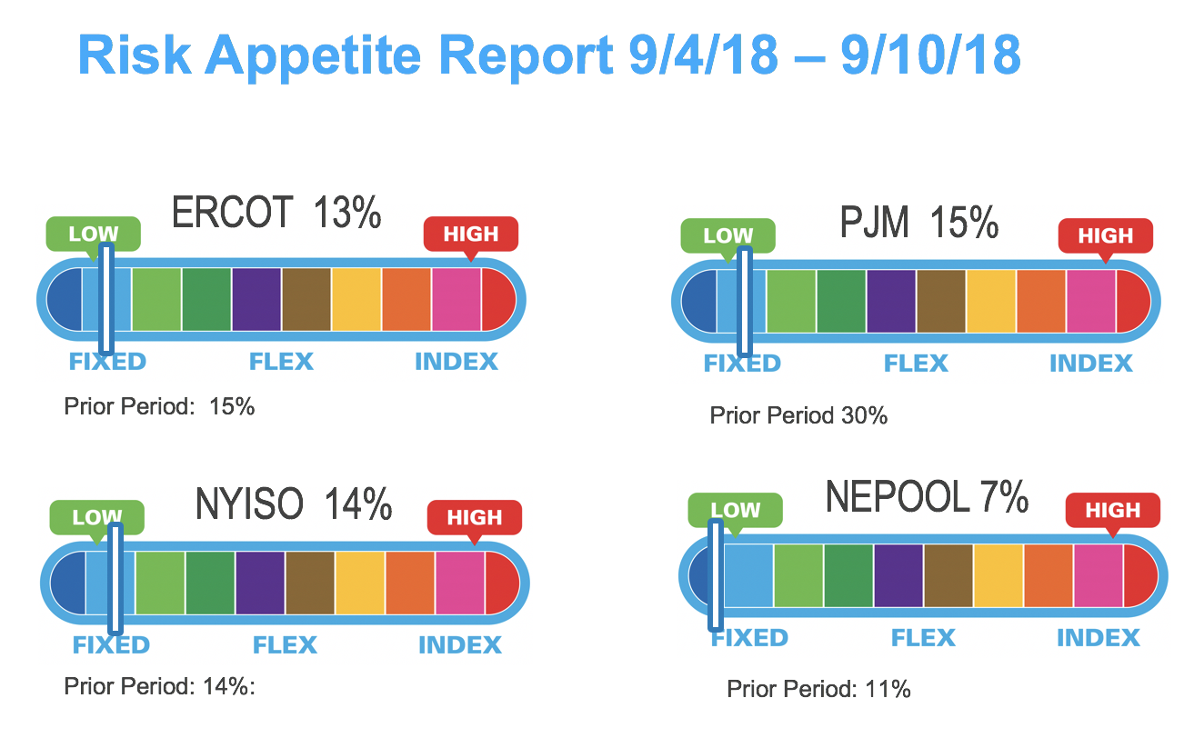 Risk Appetite Report