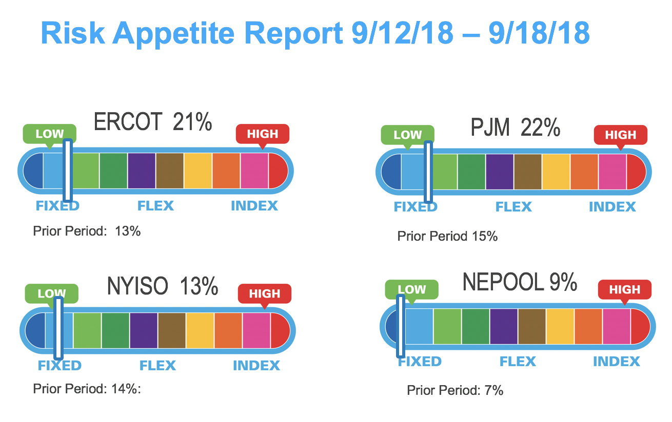 Risk Appetite Report