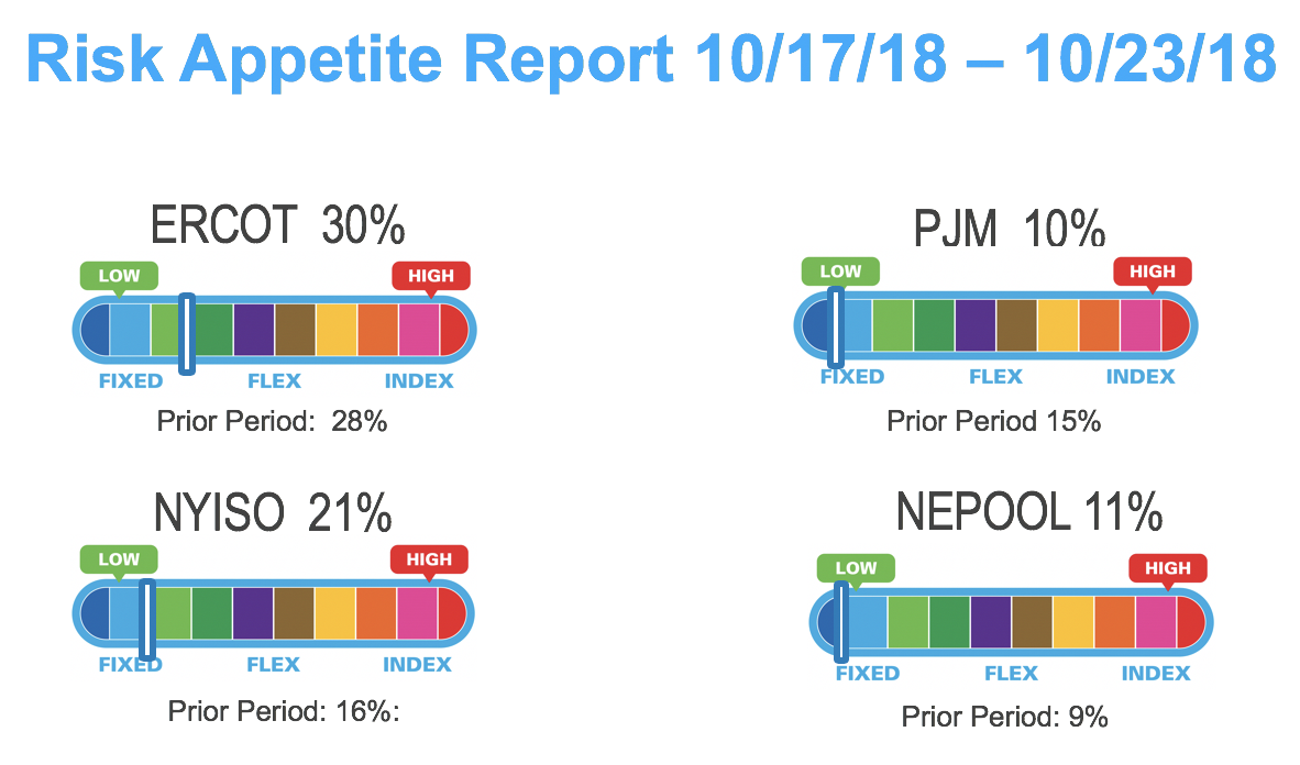 Risk Appetite Report