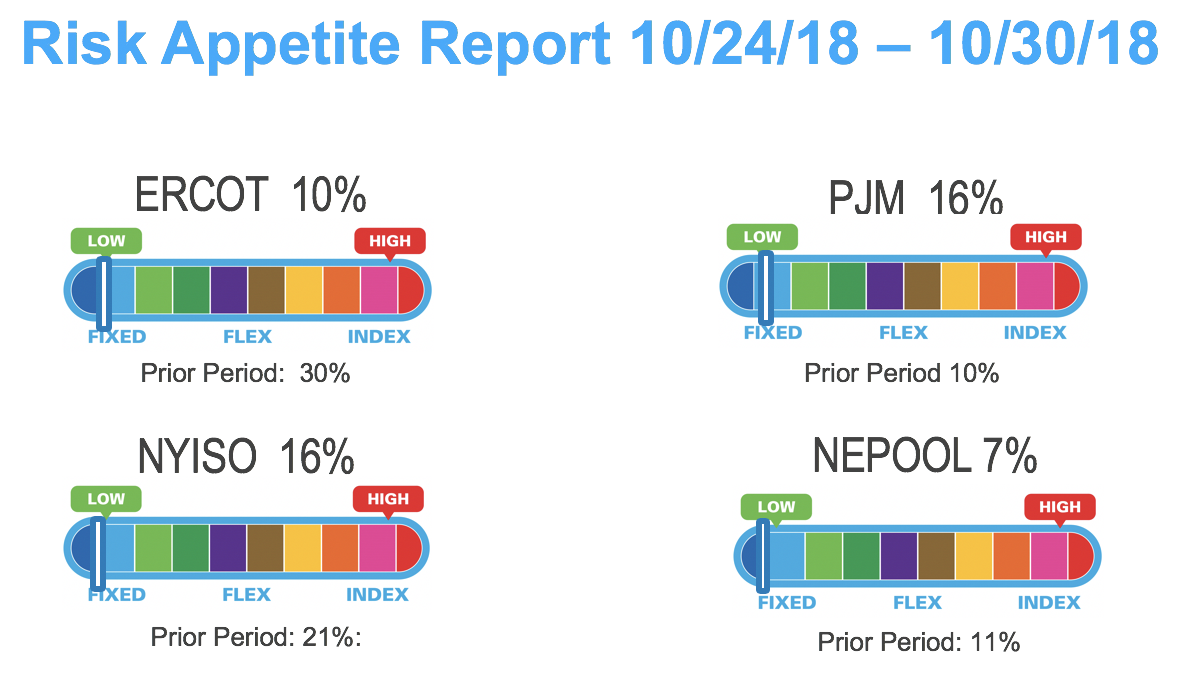 Risk Appetite Report