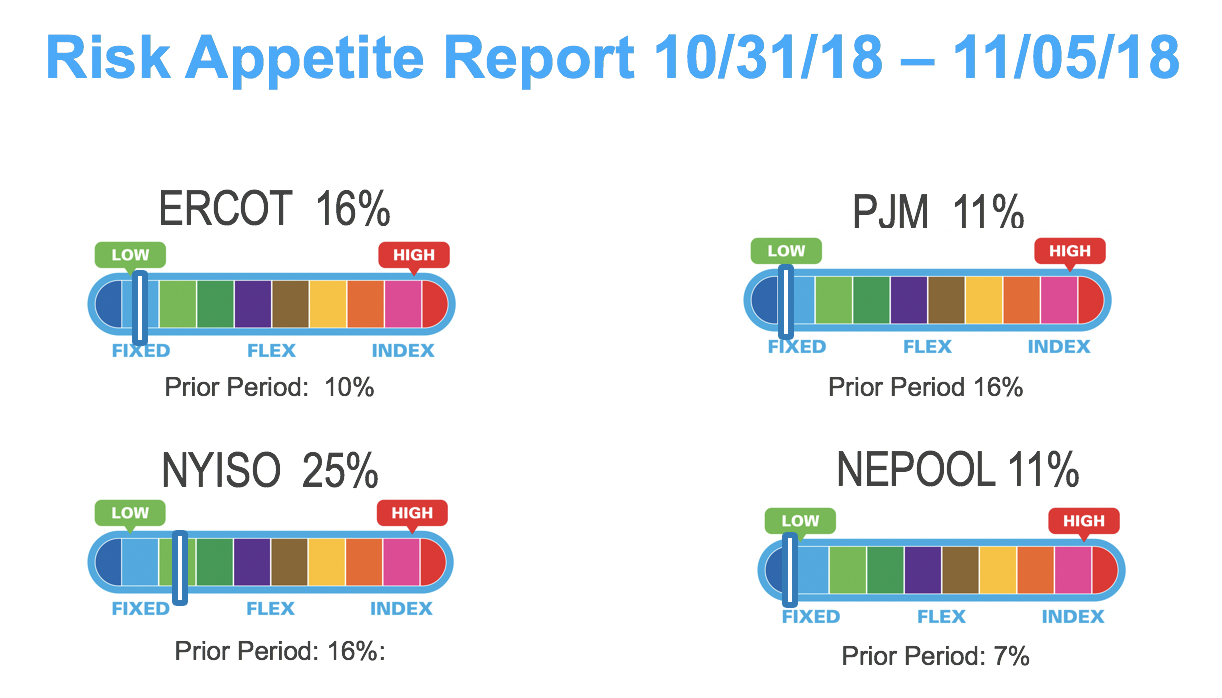 Risk Appetite Report