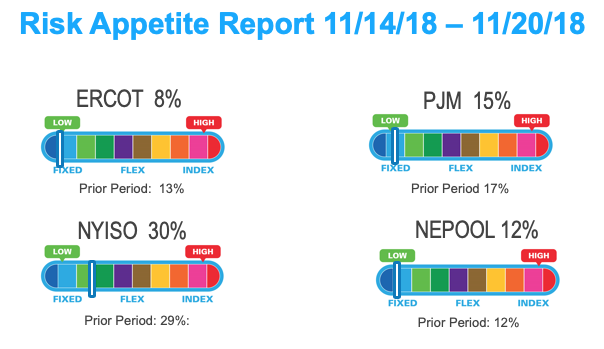 Risk Appetite Report