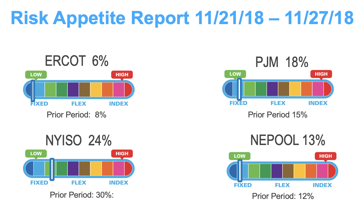 Risk Appetite Report