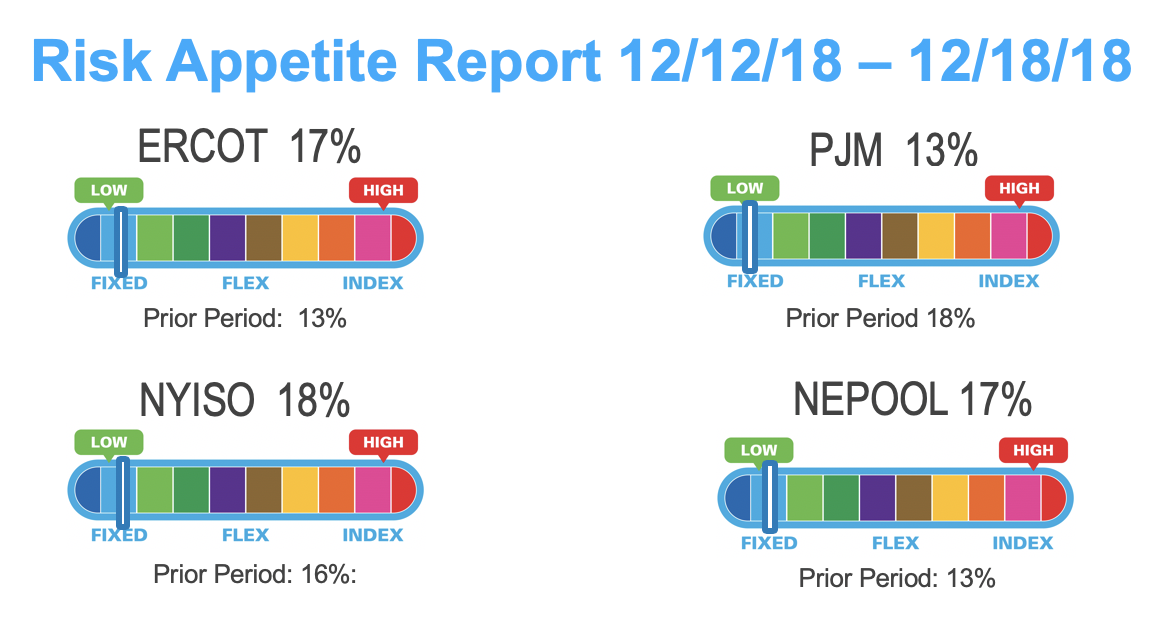 Risk Appetite Report