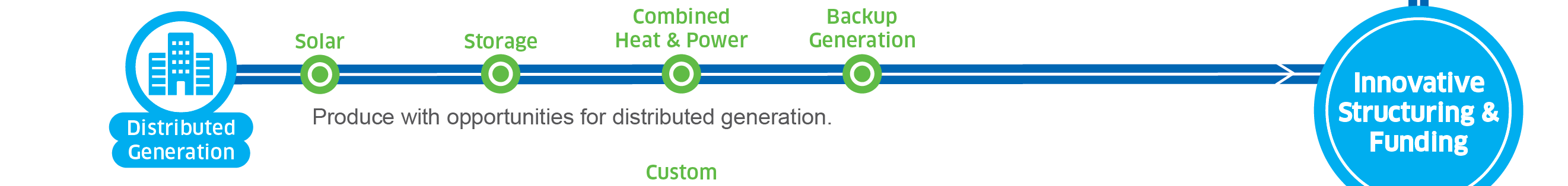 Distributed Generation