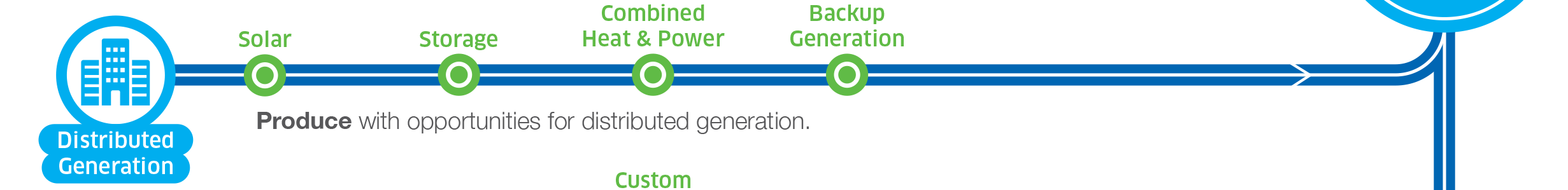 Distributed Generation