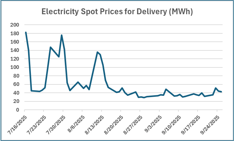 Line graph of Electricity Spot Prices for Delivery (MWh)