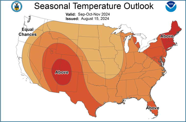 Seasonal Temperature Outlook