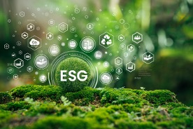 Sustainability