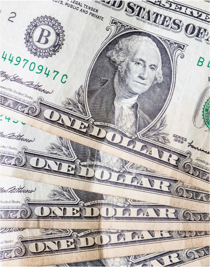 $100 Dollar Bills