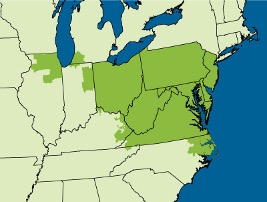 PJM forecast map