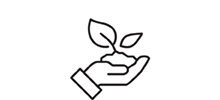 Tree Seedlings