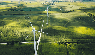Wind turbines in grassy field